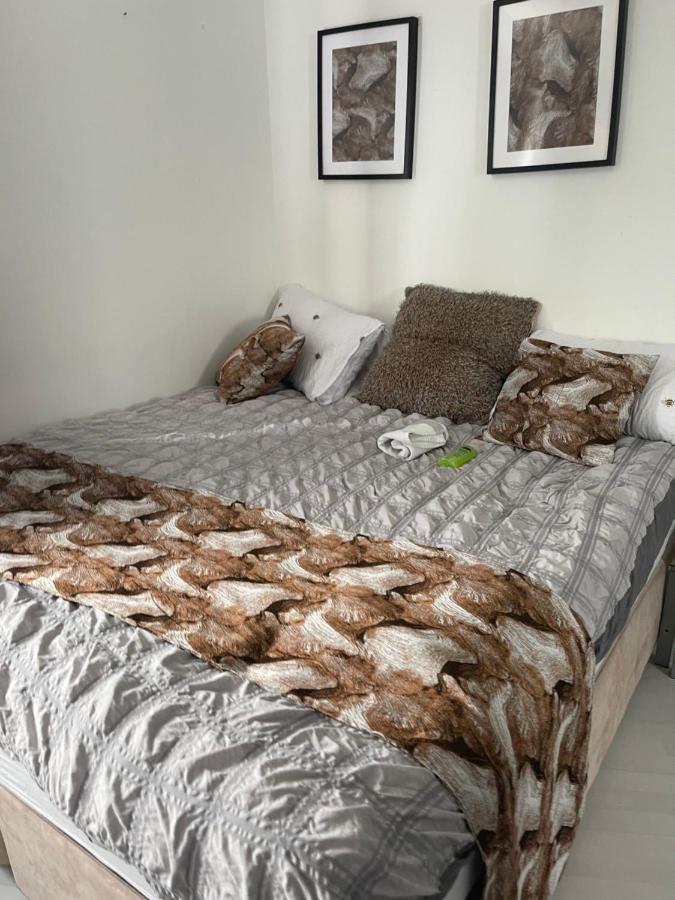 Spacious One Bedroom Ft In Central London King'S Cross Exterior foto